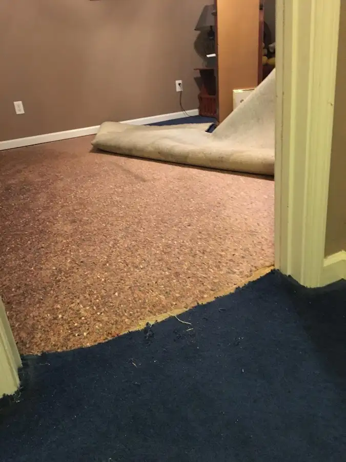 Carpet pad removal revealing water damage during Drying & Dehumidification in Malibu