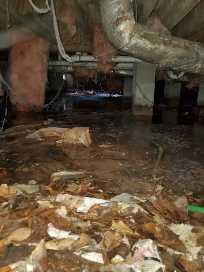 Crawl space flood assessment for Leak Detection & Repair in Malibu